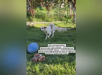 Lizzy (1) sucht ein liebevolles Zuhause