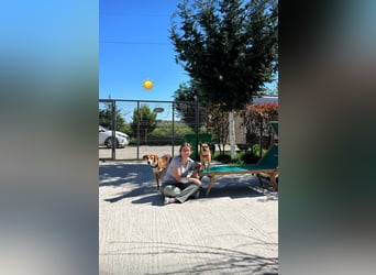 Lucy (4) – klein, bezaubernd und bereit für ihr eigenes Zuhause