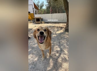 Susanne (1) ist unser Sonnenschein