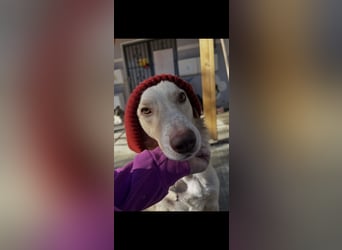 Biggi (2) unser dreibeiniger Sonnenschein