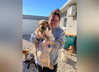 Pepper sucht ihr Glück (47839 Krefeld)