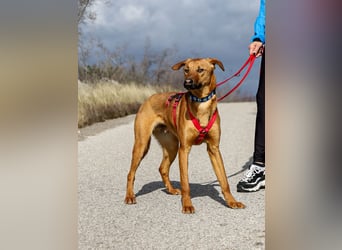 Bjarne – ein Freund fürs Leben (4700 Eupen)