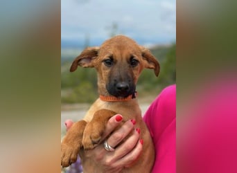 Bjarne – ein Freund fürs Leben (4700 Eupen)