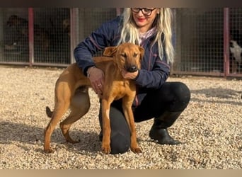 Bjarne – ein Freund fürs Leben (4700 Eupen)