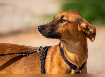 Bjarne – ein Freund fürs Leben (4700 Eupen)