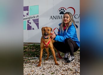 Bjarne – ein Freund fürs Leben (4700 Eupen)