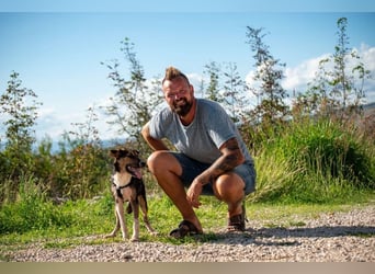 Wundervolle Rixa möchte endlich ankommen (77866 Rheinau)