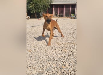 Bjarne – ein Freund fürs Leben (4700 Eupen)