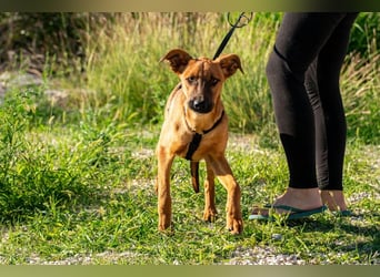 Bjarne – ein Freund fürs Leben (4700 Eupen)