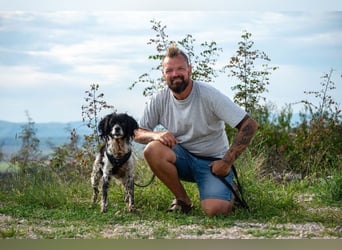 Dina – deine neue beste Fellnasen-Freundin! (47506 Neukirchen-Vluyn)