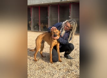 Bjarne – ein Freund fürs Leben (4700 Eupen)