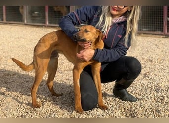 Bjarne – ein Freund fürs Leben (4700 Eupen)