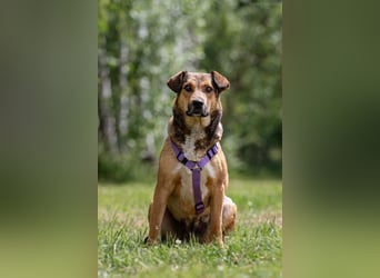 Sozialer Rita sucht ihre Menschen