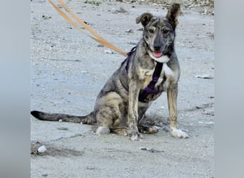 Tattoo, fast wie tätowiert !!