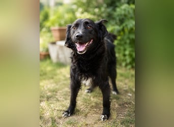 Nelda - Liebevolle Hundemama sucht ihr Glück