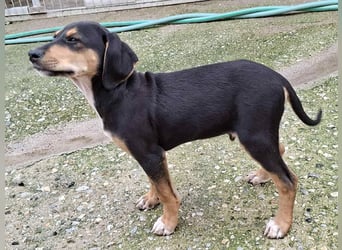 Ayko  möchte bald nach Hause kommen