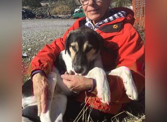 Belle, sie möchte ihre Familie für immer finden