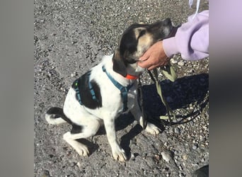 Belle, sie möchte ihre Familie für immer finden