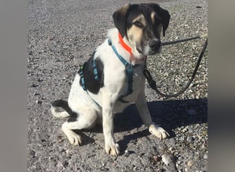 Belle, sie möchte ihre Familie für immer finden