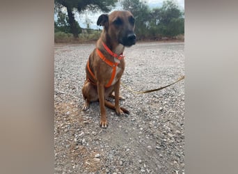 Sadie sucht die Menschen, die sie nicht mehr alleine lassen