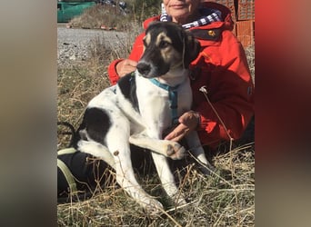 Belle, sie möchte ihre Familie für immer finden