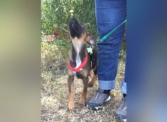Jackson wünscht sich auch eine eigene Familie