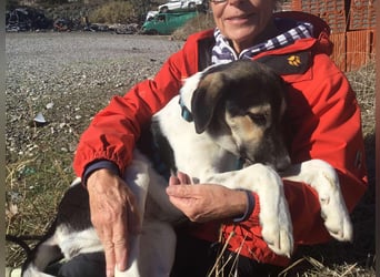 Belle, sie möchte ihre Familie für immer finden