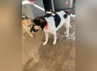 Belle, sie möchte ihre Familie für immer finden