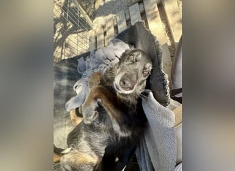 Grinsebacke MALOUK sucht eine eigene Familie