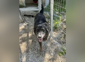 Grinsebacke MALOUK sucht eine eigene Familie