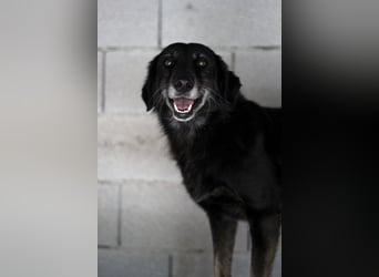 Grinsebacke MALOUK sucht eine eigene Familie