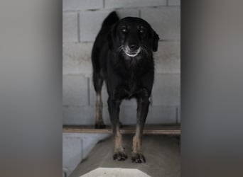Grinsebacke MALOUK sucht eine eigene Familie