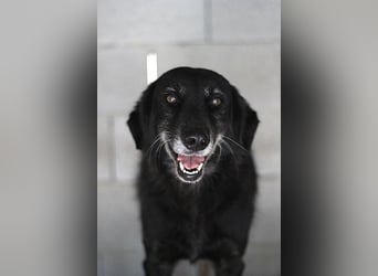 Grinsebacke MALOUK sucht eine eigene Familie
