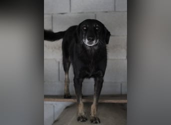 Grinsebacke MALOUK sucht eine eigene Familie