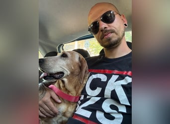 Wundervolle alte Hundedame MAGGIE sucht eine Familie oder Endpflegestelle