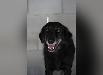 Grinsebacke MALOUK sucht eine eigene Familie