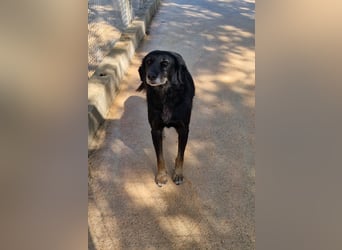 Grinsebacke MALOUK sucht eine eigene Familie