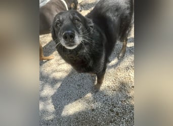 Grinsebacke MALOUK sucht eine eigene Familie