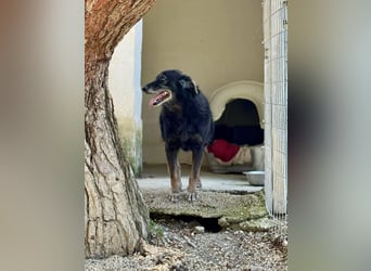 Grinsebacke MALOUK sucht eine eigene Familie