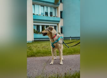 Petra – sensible Seele, die Vertrauen braucht