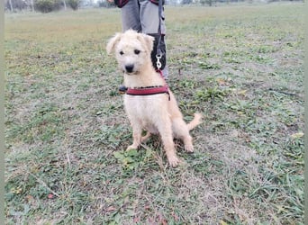 Ziggy wartet genau auf DIch