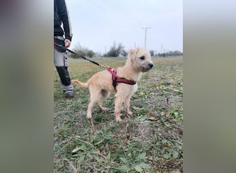 Ziggy wartet genau auf DIch