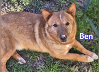 VERMITTLUNGSHILFE Ben, 91413 Unternesselbach