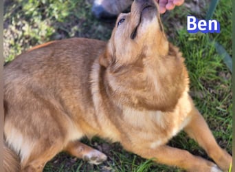 VERMITTLUNGSHILFE Ben, 91413 Unternesselbach