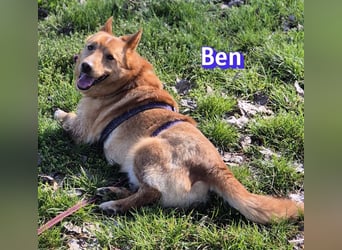 VERMITTLUNGSHILFE Ben, 91413 Unternesselbach