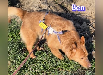 VERMITTLUNGSHILFE Ben, 91413 Unternesselbach