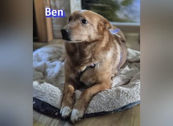 VERMITTLUNGSHILFE Ben, 91413 Unternesselbach