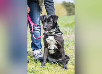 SALI SI sucht ihr Herz-Zuhause ❤️