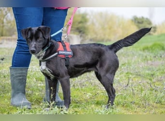 SALI SI sucht ihr Herz-Zuhause ❤️