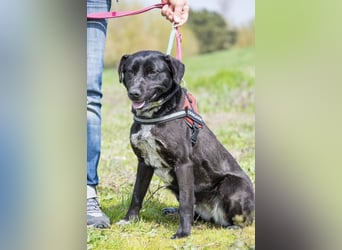 SALI SI sucht ihr Herz-Zuhause ❤️